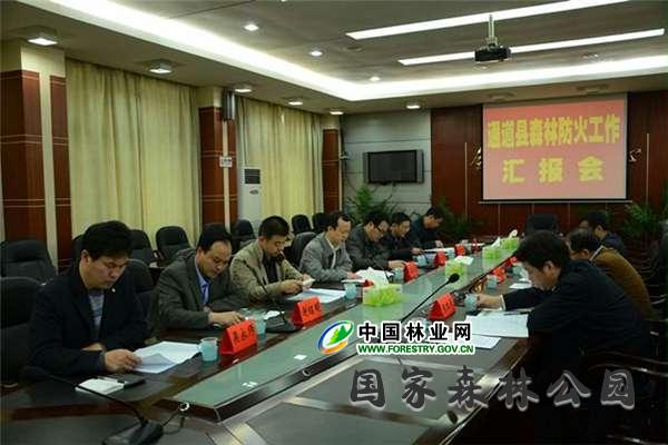 督察组听取通道县森林防火工作汇报